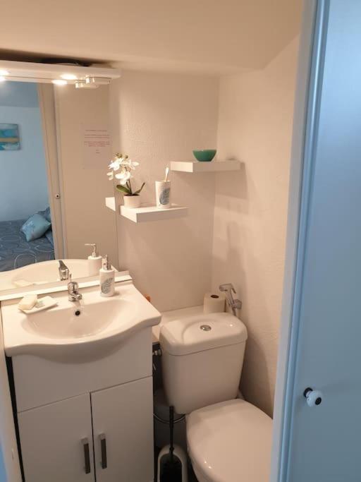 Appartement Duplexe De 1 A 4 Chambres Privees Dans Maison Le Teil Eksteriør bilde