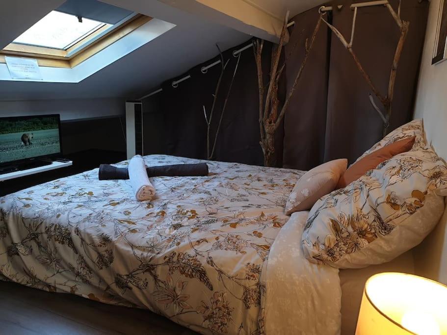 Appartement Duplexe De 1 A 4 Chambres Privees Dans Maison Le Teil Eksteriør bilde